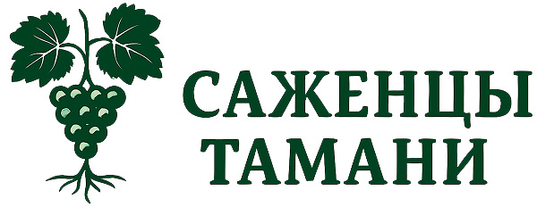логотип саженцы тамани — копия1